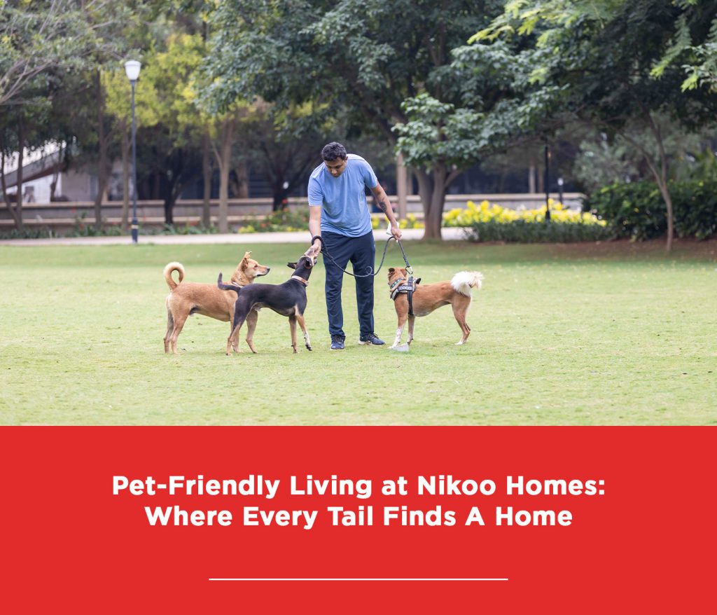 Luxury Apartments Bangalore